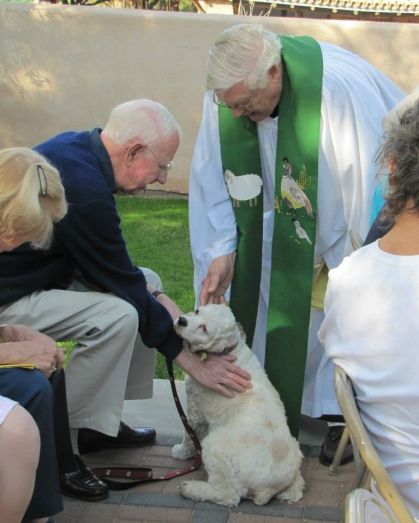 bless of animals3