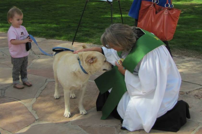 bless of animals5